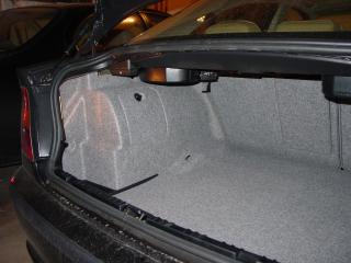 Trunk view