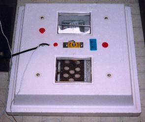 The incubator